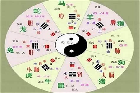 同字五行|五行汉字属性查询